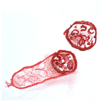 Chorizo