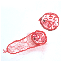 Salami