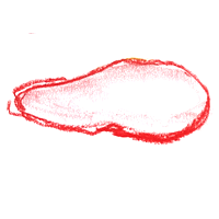 Schnitzels *