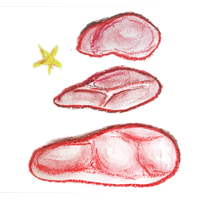 Trio Ham