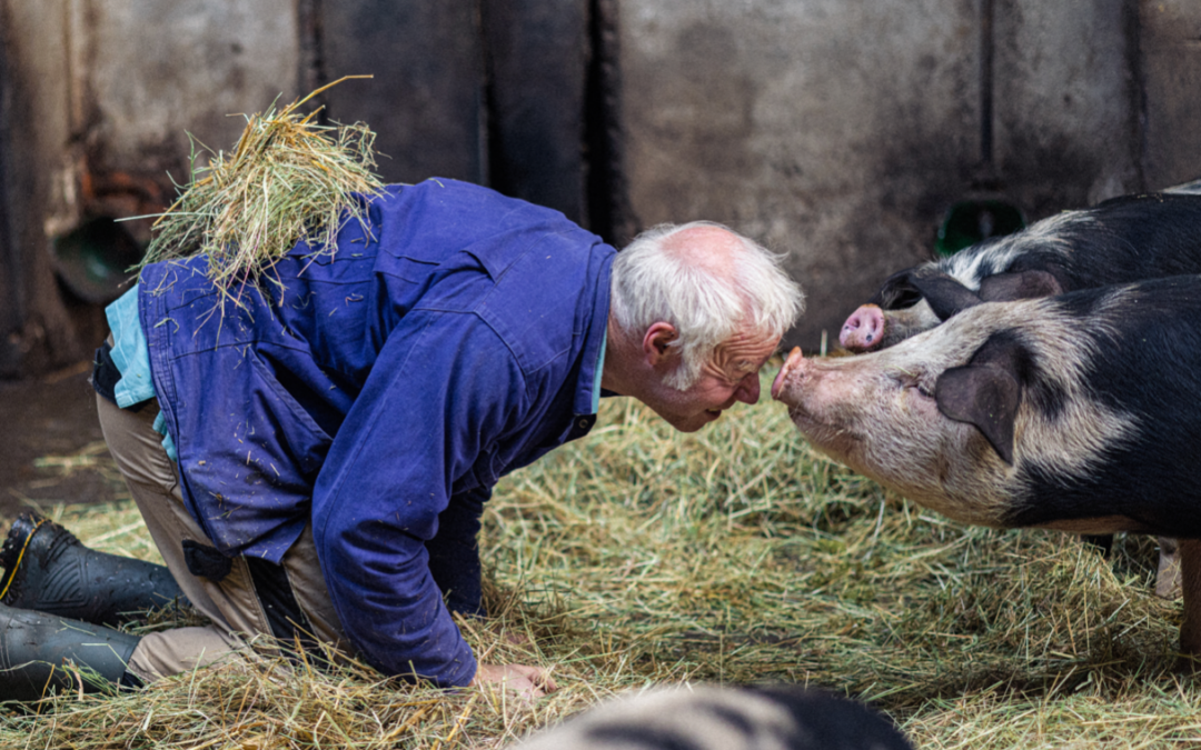 #1 Boer Peter Loopt Voorwoord