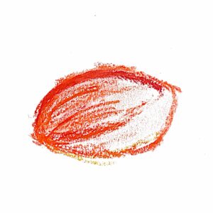 Stuk verse ham ca 1,7 kilo